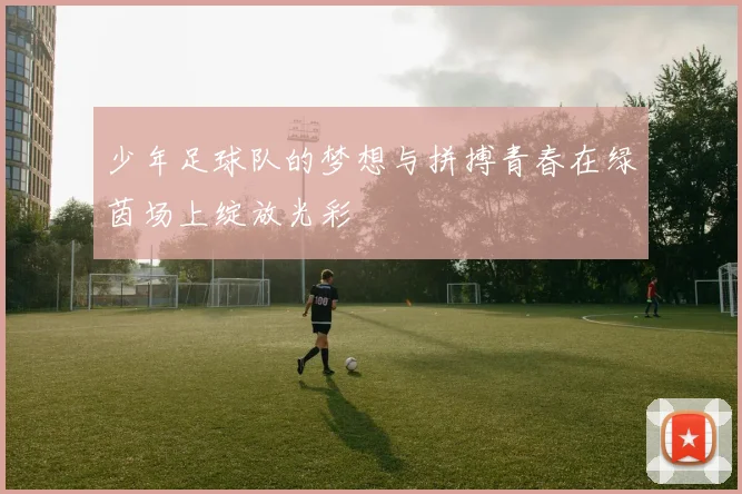 少年足球队的梦想与拼搏青春在绿茵场上绽放光彩