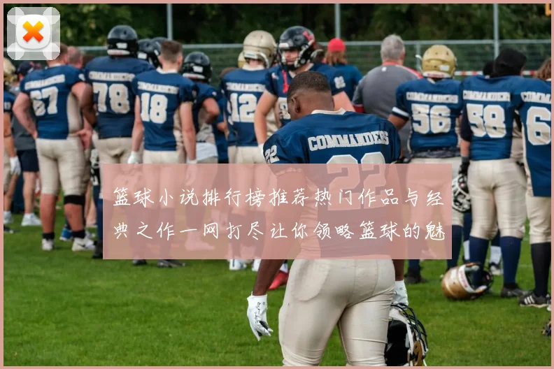 篮球小说排行榜推荐热门作品与经典之作一网打尽让你领略篮球的魅力与激情