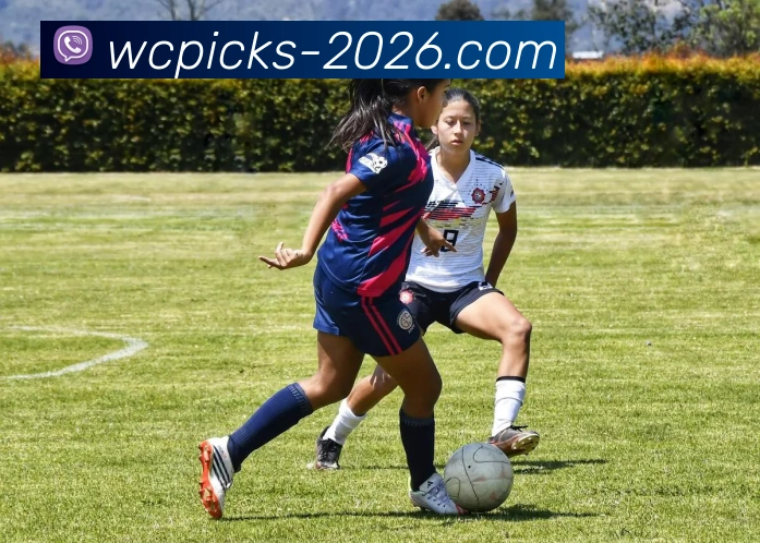 世界杯官网品牌故事